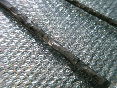 buspusun009036.jpg