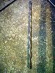 buspusun009037.jpg