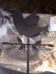 buspusun011047.jpg