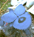 buspusun011050.jpg