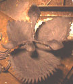 buspusun011051.jpg