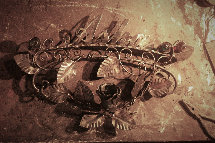 buspusun016043.jpg