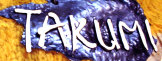 buspusun017031.jpg