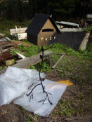 buspusun020045.jpg