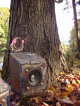 buspusun021026.jpg