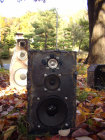 buspusun021028.jpg