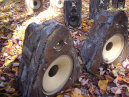 buspusun021030.jpg