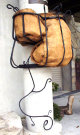 buspusun021036.jpg