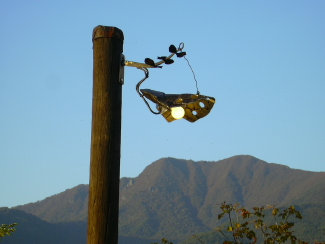 buspusun025012.jpg