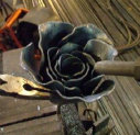 buspusun040026.jpg