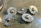 buspusun040030.jpg