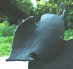 buspusun040038.jpg